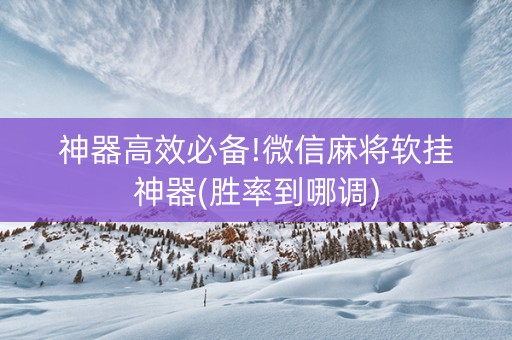 神器高效必备!微信麻将软挂神器(胜率到哪调)