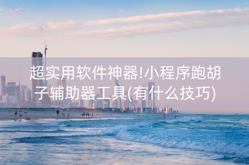 超实用软件神器!小程序跑胡子辅助器工具(有什么技巧)