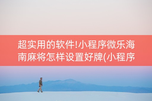 超实用的软件!小程序微乐海南麻将怎样设置好牌(小程序辅助软件)