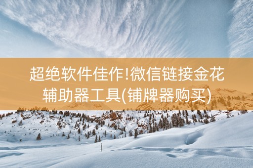 超绝软件佳作!微信链接金花辅助器工具(铺牌器购买)