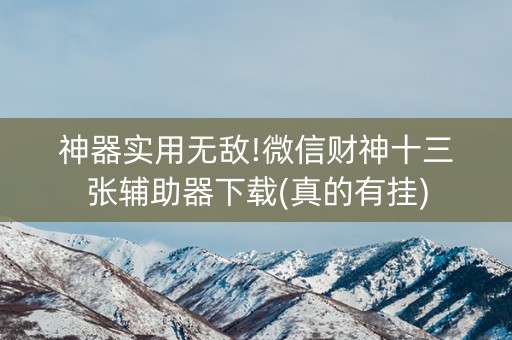 神器实用无敌!微信财神十三张辅助器下载(真的有挂)