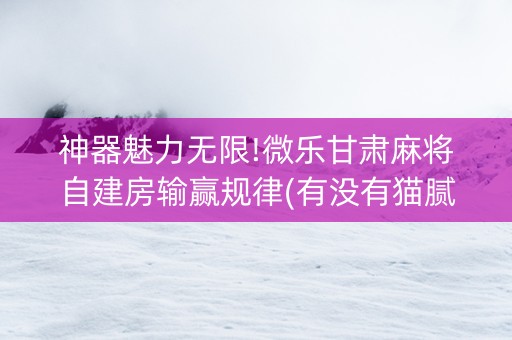 神器魅力无限!微乐甘肃麻将自建房输赢规律(有没有猫腻)