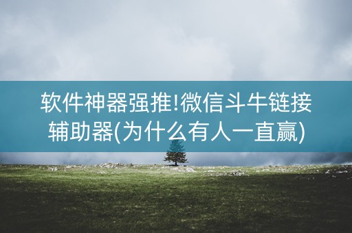 软件神器强推!微信斗牛链接辅助器(为什么有人一直赢)