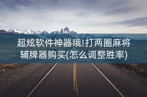 超炫软件神器哦!打两圈麻将辅牌器购买(怎么调整胜率)