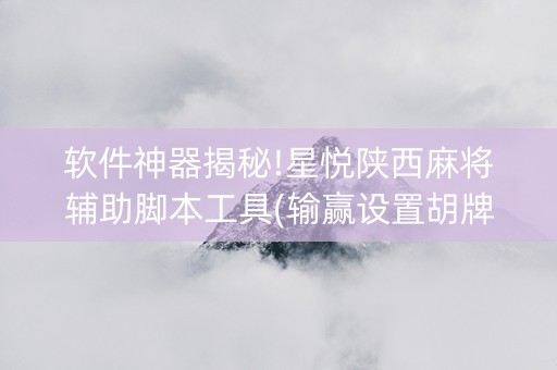 软件神器揭秘!星悦陕西麻将辅助脚本工具(输赢设置胡牌规律)