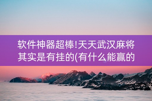 软件神器超棒!天天武汉麻将其实是有挂的(有什么能赢的方法)