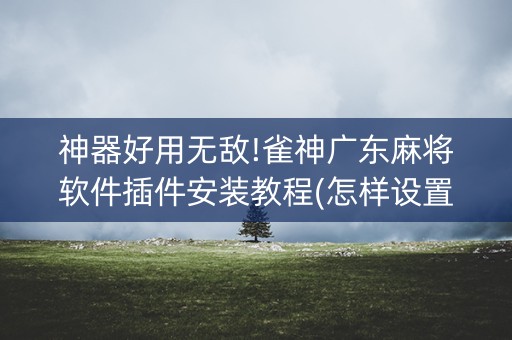神器好用无敌!雀神广东麻将软件插件安装教程(怎样设置拿好牌)