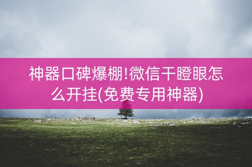 神器口碑爆棚!微信干瞪眼怎么开挂(免费专用神器)