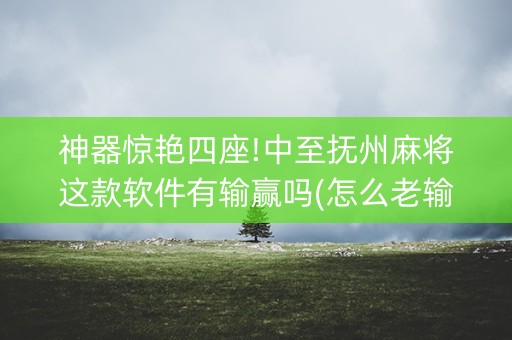 神器惊艳四座!中至抚州麻将这款软件有输赢吗(怎么老输必备神器)