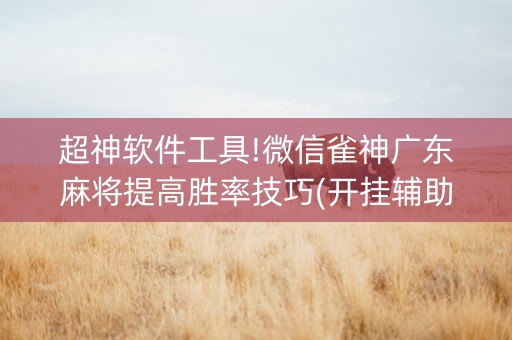 超神软件工具!微信雀神广东麻将提高胜率技巧(开挂辅助器脚本)