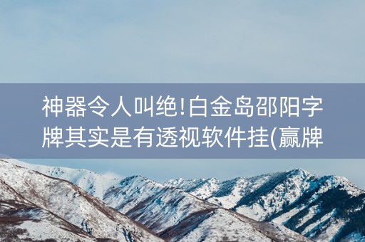 神器令人叫绝!白金岛邵阳字牌其实是有透视软件挂(赢牌技巧插件安装)