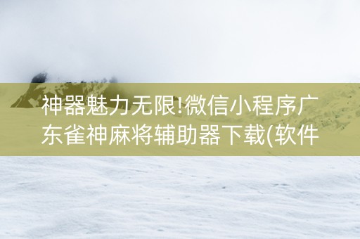 神器魅力无限!微信小程序广东雀神麻将辅助器下载(软件出售)