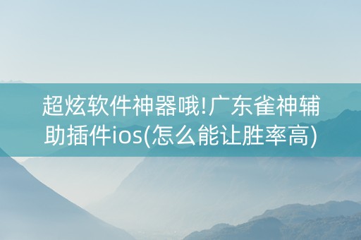 超炫软件神器哦!广东雀神辅助插件ios(怎么能让胜率高)