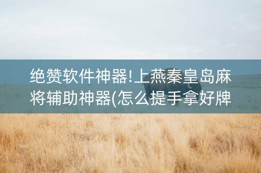 绝赞软件神器!上燕秦皇岛麻将辅助神器(怎么提手拿好牌)
