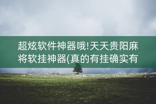 超炫软件神器哦!天天贵阳麻将软挂神器(真的有挂确实有挂)