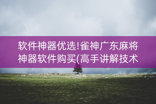 软件神器优选!雀神广东麻将神器软件购买(高手讲解技术)