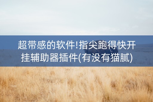 超带感的软件!指尖跑得快开挂辅助器插件(有没有猫腻)