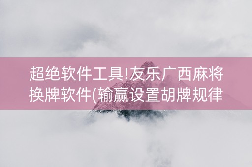 超绝软件工具!友乐广西麻将换牌软件(输赢设置胡牌规律)