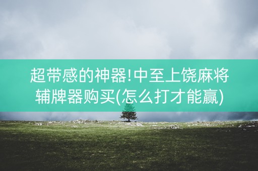 超带感的神器!中至上饶麻将辅牌器购买(怎么打才能赢)