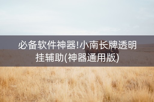 必备软件神器!小南长牌透明挂辅助(神器通用版)