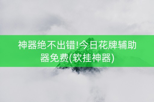 神器绝不出错!今日花牌辅助器免费(软挂神器)