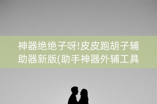 神器绝绝子呀!皮皮跑胡子辅助器新版(助手神器外辅工具)