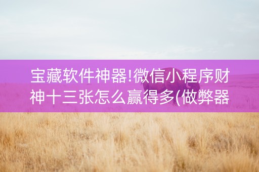 宝藏软件神器!微信小程序财神十三张怎么赢得多(做弊器软件下载)