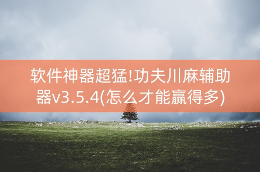 软件神器超猛!功夫川麻辅助器v3.5.4(怎么才能赢得多)