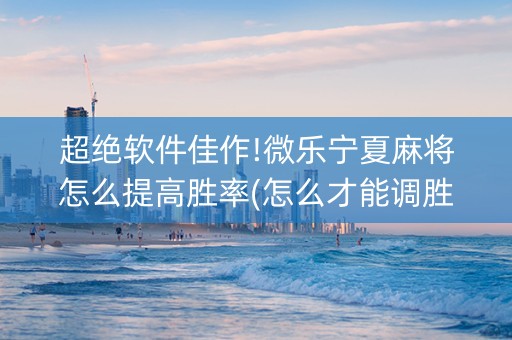 超绝软件佳作!微乐宁夏麻将怎么提高胜率(怎么才能调胜率)