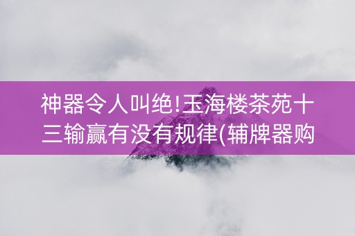 神器令人叫绝!玉海楼茶苑十三输赢有没有规律(辅牌器购买)
