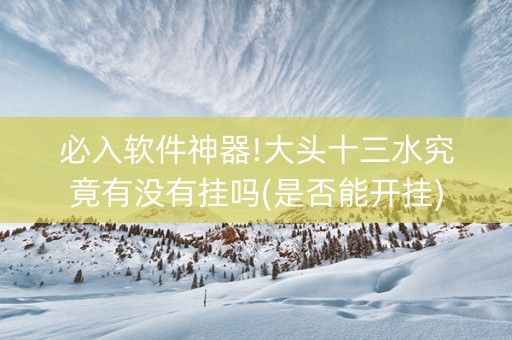 必入软件神器!大头十三水究竟有没有挂吗(是否能开挂)