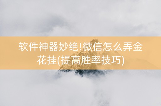 软件神器妙绝!微信怎么弄金花挂(提高胜率技巧)