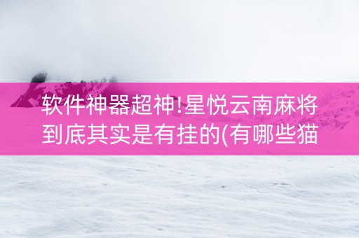 软件神器超神!星悦云南麻将到底其实是有挂的(有哪些猫腻)
