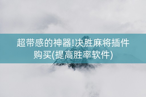 超带感的神器!决胜麻将插件购买(提高胜率软件)