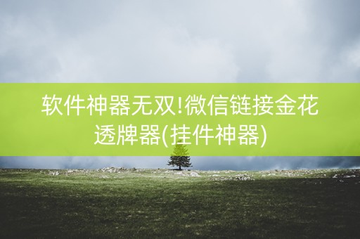 软件神器无双!微信链接金花透牌器(挂件神器)