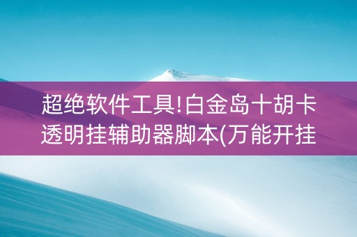 超绝软件工具!白金岛十胡卡透明挂辅助器脚本(万能开挂器)
