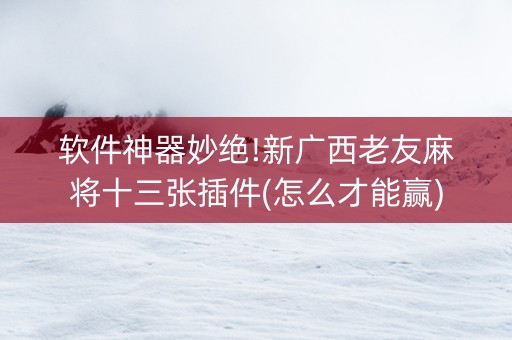 软件神器妙绝!新广西老友麻将十三张插件(怎么才能赢)