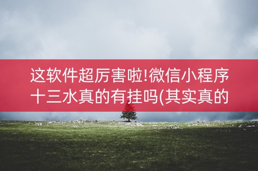 这软件超厉害啦!微信小程序十三水真的有挂吗(其实真的有挂)