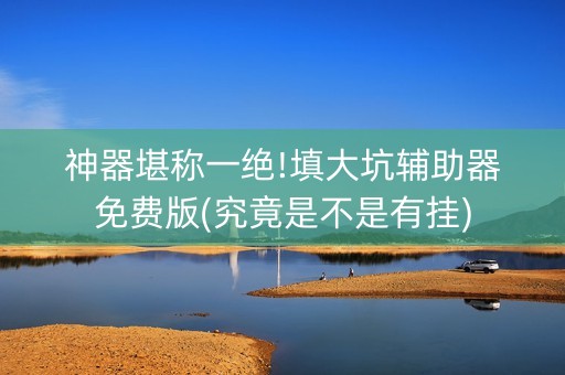 神器堪称一绝!填大坑辅助器免费版(究竟是不是有挂)