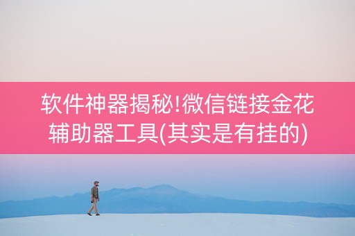 软件神器揭秘!微信链接金花辅助器工具(其实是有挂的)