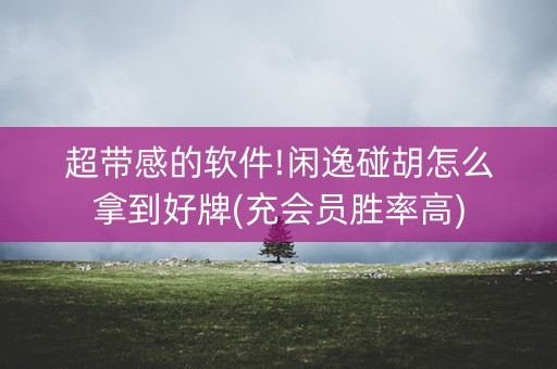 超带感的软件!闲逸碰胡怎么拿到好牌(充会员胜率高)