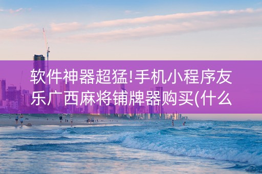 软件神器超猛!手机小程序友乐广西麻将铺牌器购买(什么软件可以赢)