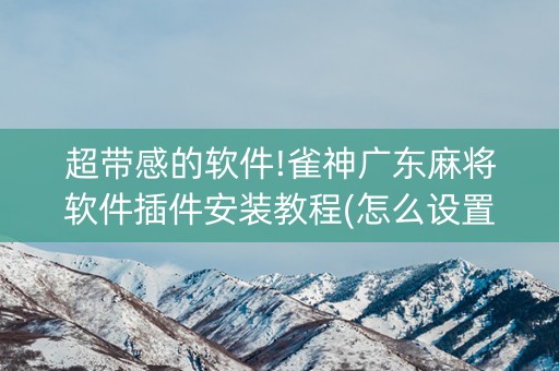 超带感的软件!雀神广东麻将软件插件安装教程(怎么设置会赢)