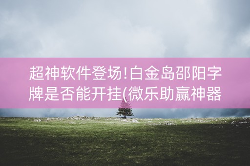超神软件登场!白金岛邵阳字牌是否能开挂(微乐助赢神器)