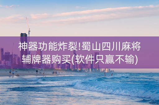 神器功能炸裂!蜀山四川麻将辅牌器购买(软件只赢不输)