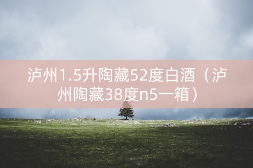 泸州1.5升陶藏52度白酒（泸州陶藏38度n5一箱）