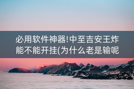 必用软件神器!中至吉安王炸能不能开挂(为什么老是输呢)