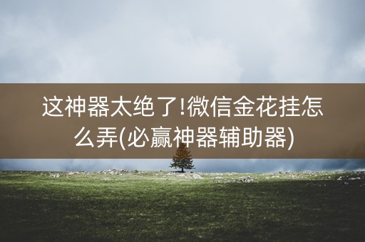 这神器太绝了!微信金花挂怎么弄(必赢神器辅助器)