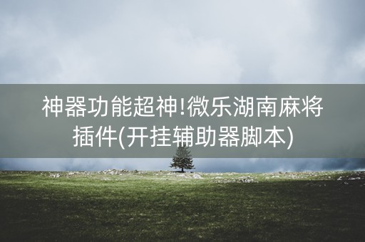 神器功能超神!微乐湖南麻将插件(开挂辅助器脚本)