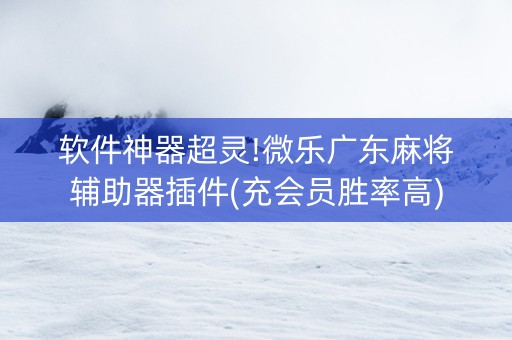 软件神器超灵!微乐广东麻将辅助器插件(充会员胜率高)